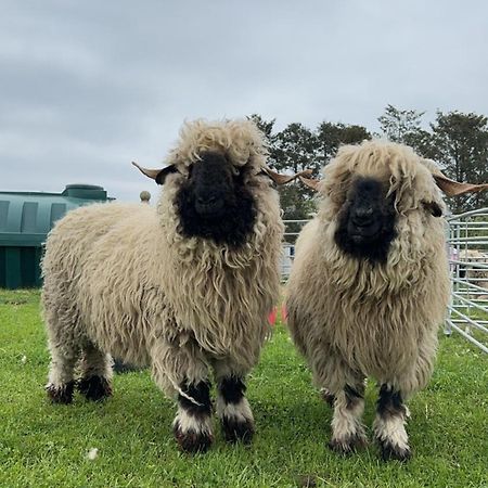 Villa Glampods Glamping Pod - Meet Highland Cows And Sheep Elgin Exterior foto