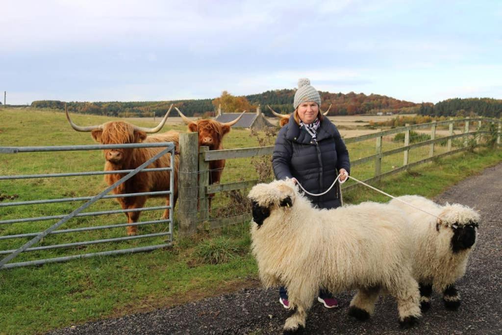 Villa Glampods Glamping Pod - Meet Highland Cows And Sheep Elgin Exterior foto