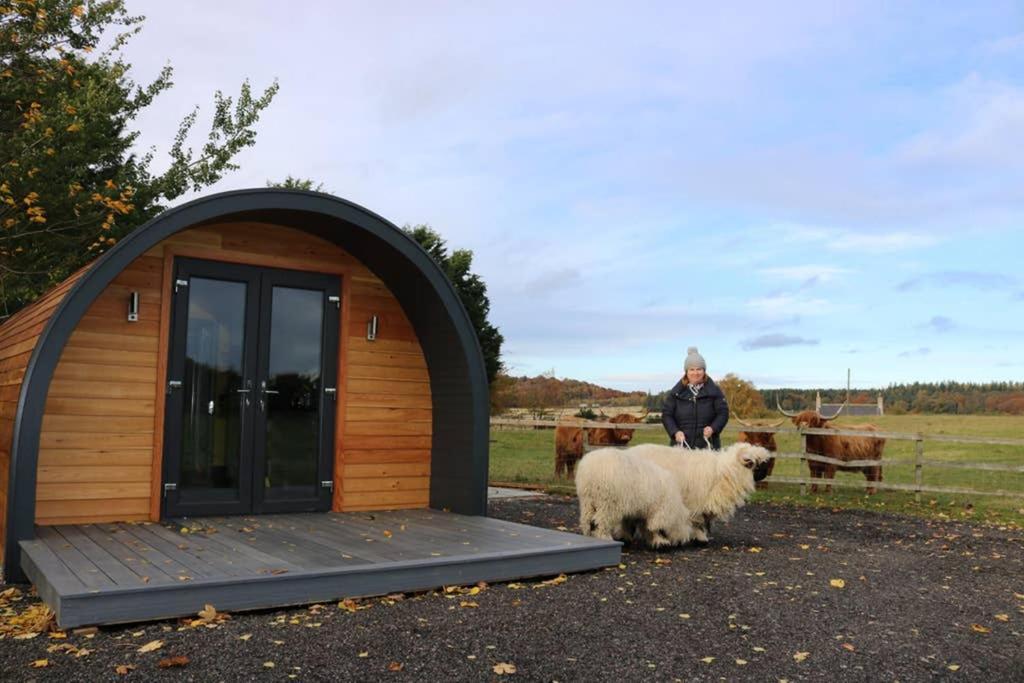 Villa Glampods Glamping Pod - Meet Highland Cows And Sheep Elgin Exterior foto