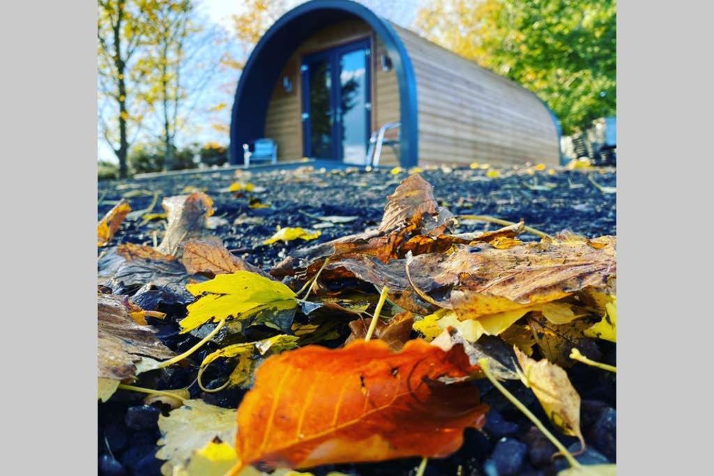 Villa Glampods Glamping Pod - Meet Highland Cows And Sheep Elgin Exterior foto